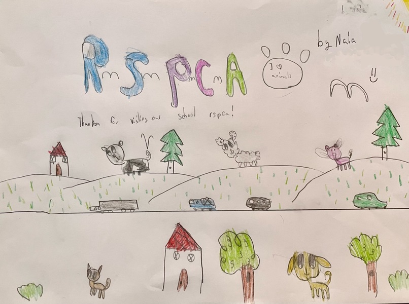 Naia loved it when RSPCA came to her school to teach the students about animal welfare. We love her thank you drawing! 