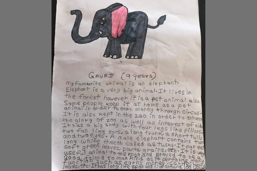 My favourite pet animal is an Elephant by Gauri