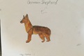 Lexie, a German Shepherd dog, drawn by Bayleigh, aged 8