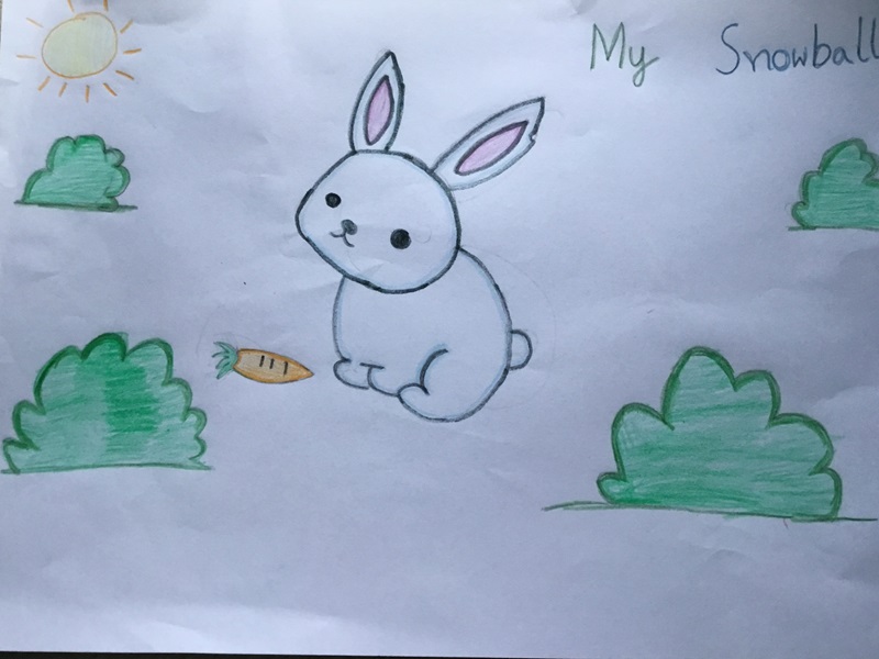 Snowball the cute rabbit, by Rashika aged 5 