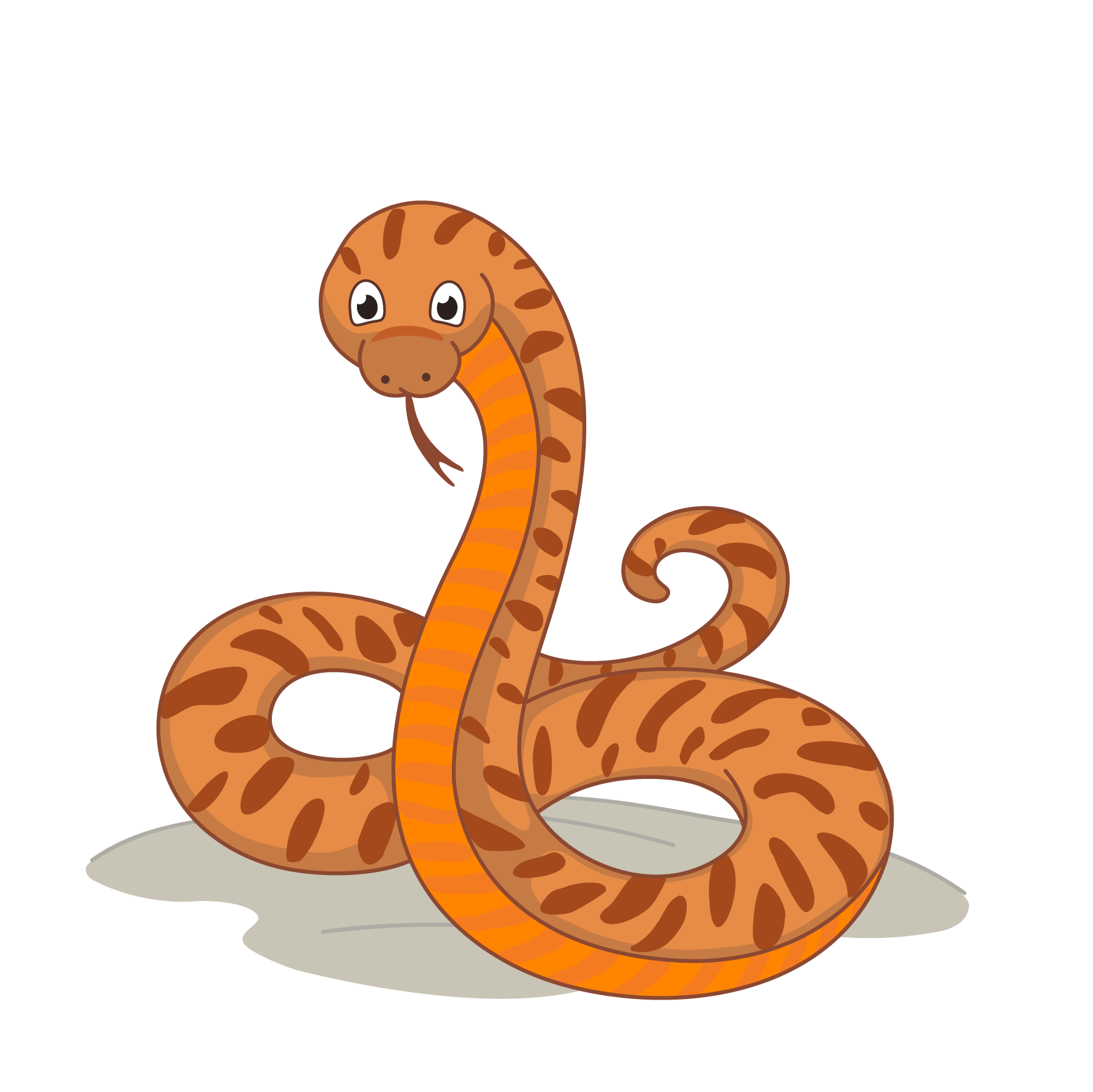 Snake information