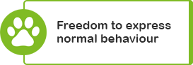 Freedom to express normal behaviour 