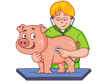 Freedom from pain, injury, or disease - Pig